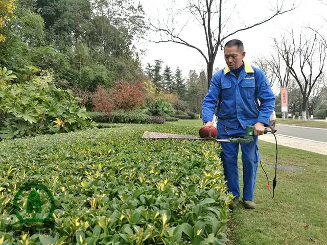 园林绿化1.jpg