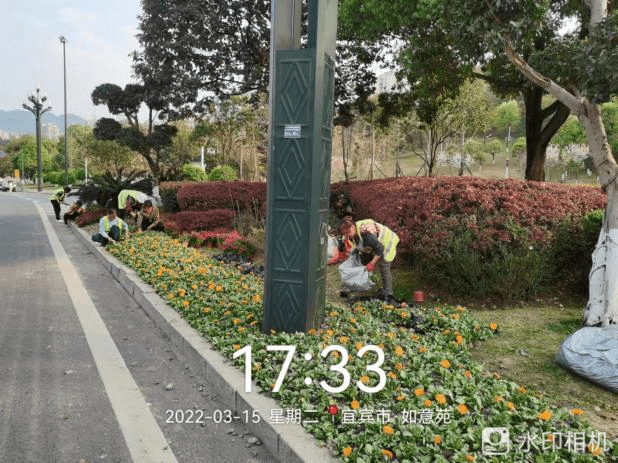 图片 62.png