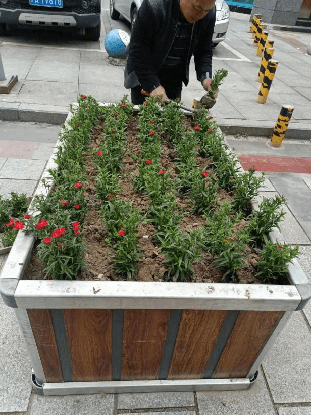 图片 27